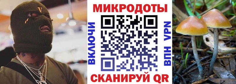 Галлюциногенные грибы Psilocybe  гидра маркетплейс  Сочи  что такое  