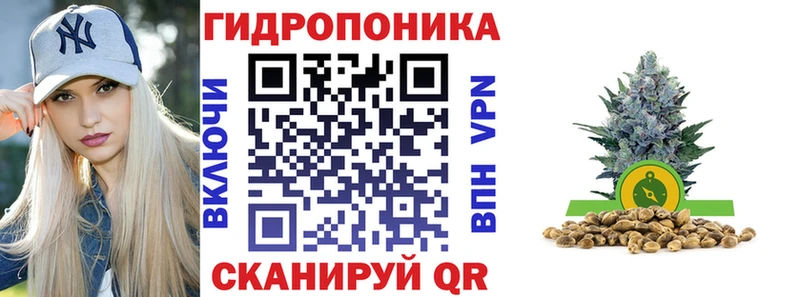 где можно купить   Сочи  Канабис OG Kush 